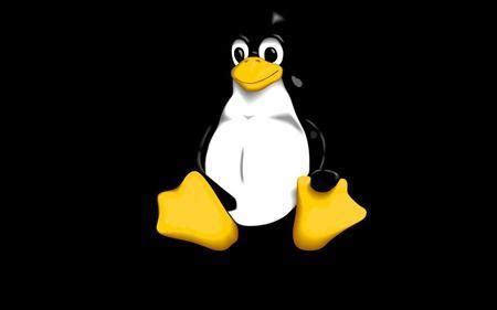 Linux Penguin Logo - LogoDix