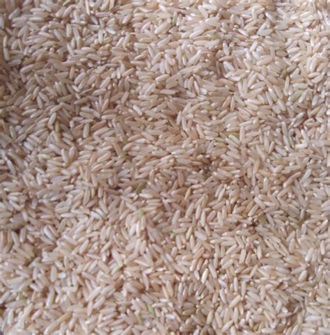 Organic Brown Rice at Rs 72/kilogram | New Items in Visakhapatnam | ID: 18803646991