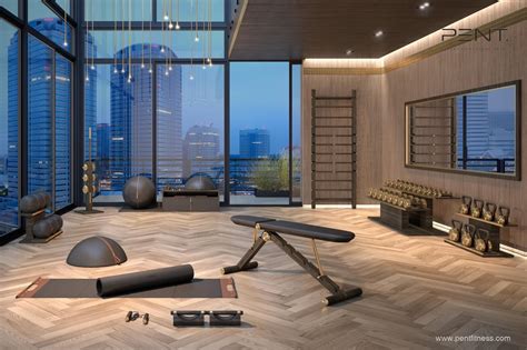 luxury home gym equipment - Cristin Louis