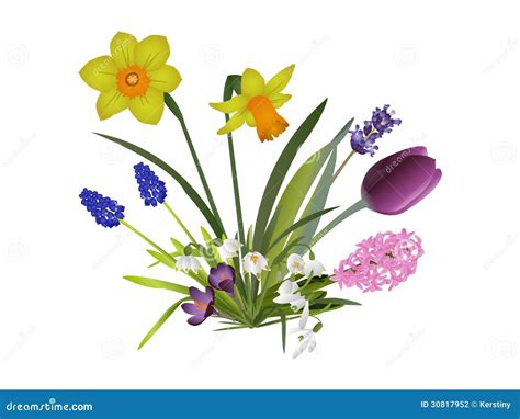 Spring garden flowers stock illustration. Illustration of park - 30817952