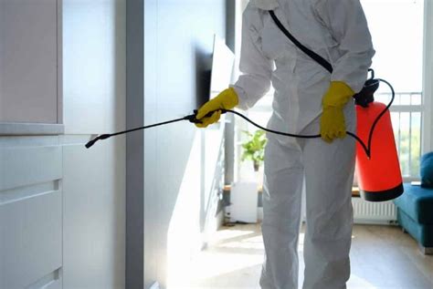 What is Chemical Pest Control? - Attack Pest Management