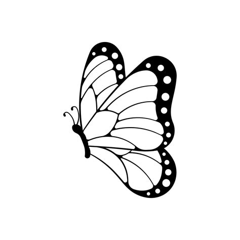 Butterfly vector isolated on white background 23351743 Vector Art at Vecteezy