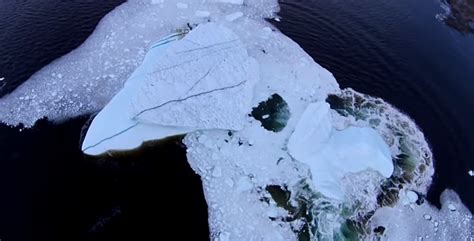 This drone footage of an iceberg collapsing is sad, cool | Grist