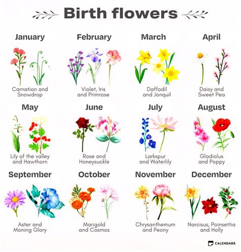 Birth Month Flowers: Discover What Yours Means - Calendarr