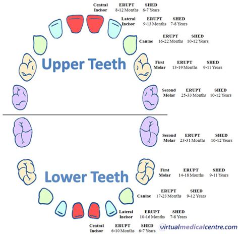 Teething Troubles | myVMC