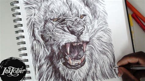 Roaring Lion Pencil Drawing - bestpencildrawing