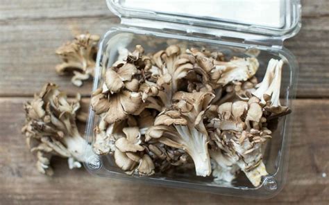 Herb Roasted Hen of the Woods Mushrooms with Lemon Cashew Cream | Elissa Goodman | Stuffed ...