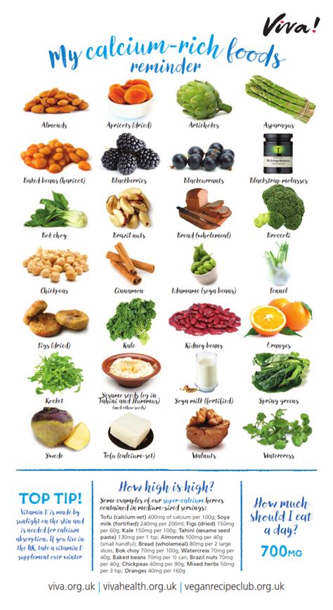 Printable High Calcium Foods Chart