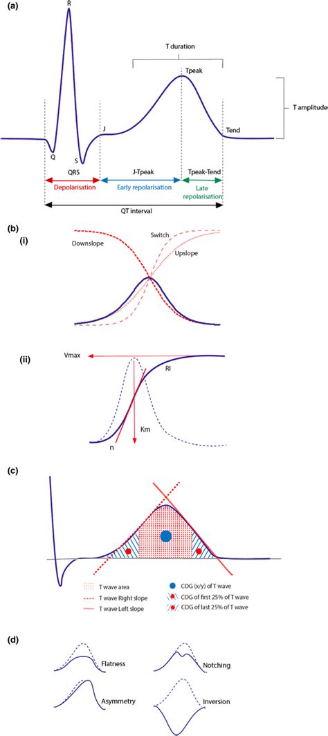 Selected T wave morphology analysis techniques. (a) ECG time intervals ...