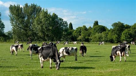 Rural areas are 'places of growth and opportunity,' OECD says ...