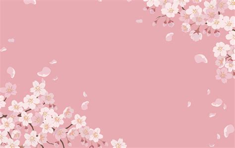 Floral Background With Cherry Blossoms In Full Bloom On A Pink Background. 1984279 Vector Art at ...