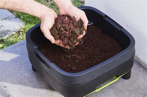 Maze Worm Farm + Free Composting Worms | Uncle Jim's Worm Farm