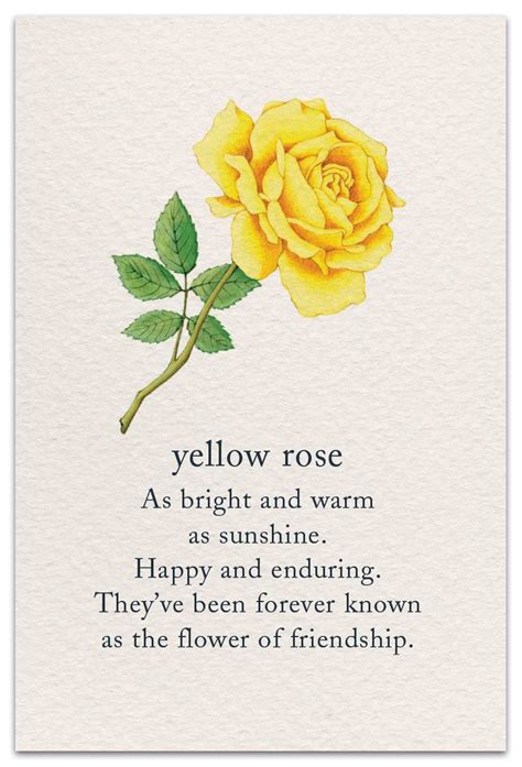 Yellow Rose | Birthday Card | cardthartic.com | Flower quotes, Flower ...