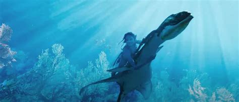 How Did The Upcoming 'Avatar 2: The Way Of Water' Film 3D Underwater? - DeeperBlue.com