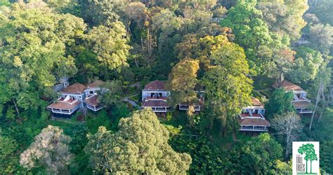 Tall Trees Resorts at Munnar , Kumar Group