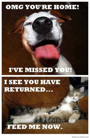 Quotes Funny Cats And Dogs. QuotesGram