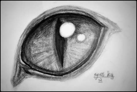 Cat Eye Drawing - Agnesu © 2016 - Jul 29, 2012 | Cat eyes drawing ...