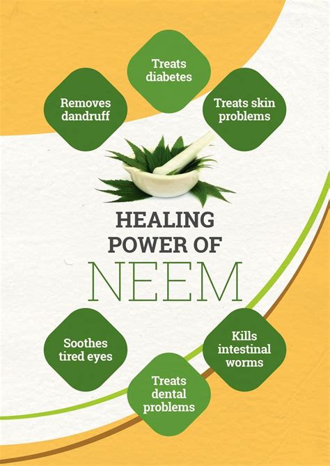 Health Benefits of Neem Leaves, Facts About Neem Trees, Neem Leaf Uses for Skin, Hair, Eyes ...