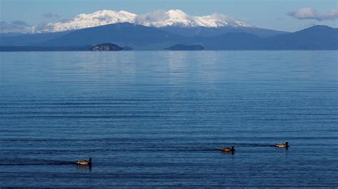 Alert level raised on New Zealand's giant Taupo volcano - source of ...