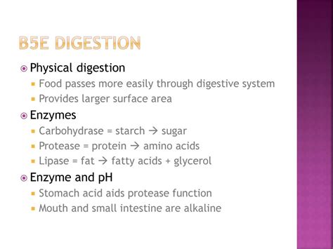 B5a skeletons Advantages of internal skeleton Structure of long bone - ppt download