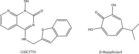 Structures of active site RNase H inhibitors GSK5750 and-thujaplicinol. | Download Scientific ...