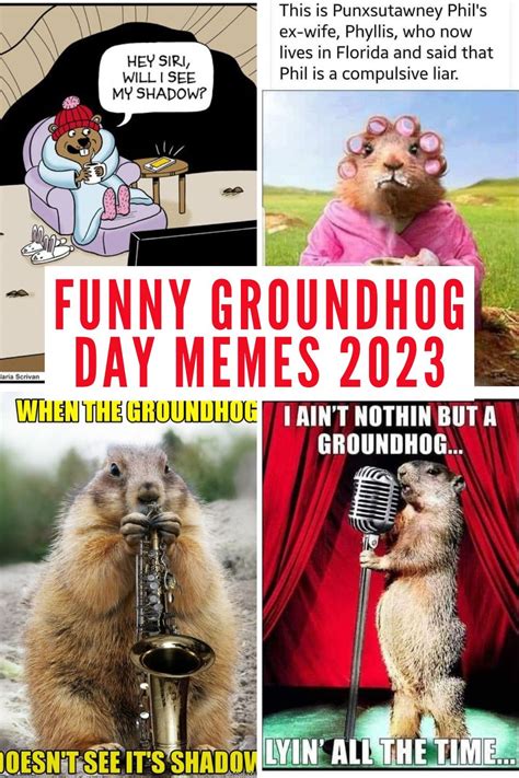 The Funniest 2024 Groundhog Day Memes to Share | Groundhog day ...