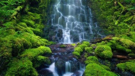 tropical rainforest waterfalls - | Waterfall wallpaper, Waterfall, Forest waterfall