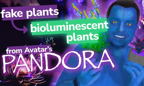 Turn Fake Plants into Bioluminescent Plants from Avatar's Pandora · Replicate the Magic