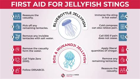 Jellyfish Stings | First Aid