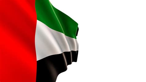 1,819 BEST "Uae Flag" IMAGES, STOCK PHOTOS & VECTORS | Adobe Stock