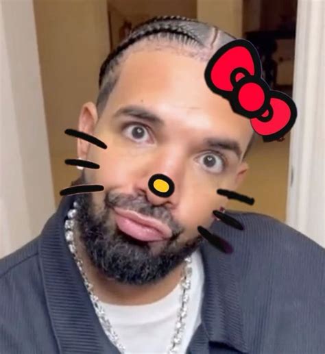 Hello kitty Drake | Drake drizzy, Drake funny, Drake photos