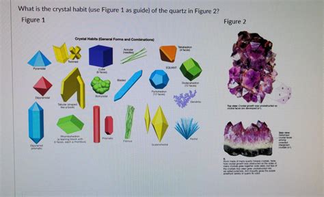 Solved What is the crystal habit (use Figure 1 as guide) of | Chegg.com