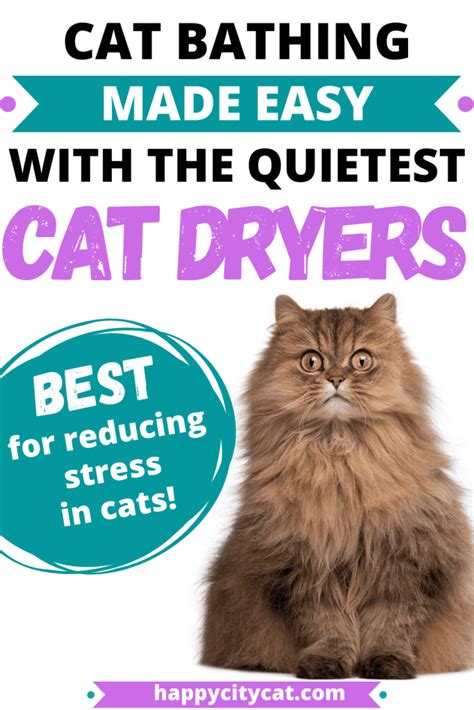 Quiet Cat Dryer – Designed To Reduce Stress In Your Cat