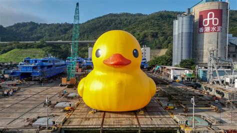 Hong Kong’s favourite giant rubber duck is returning to Victoria Harbour but it’s bigger and it ...