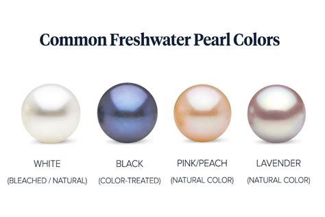 Different Pearl Types Colors The Four Major Types Of, 51% OFF