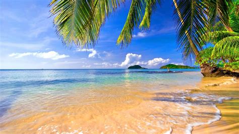 Tropical Beach Wallpaper HD #nYl | Beach wallpaper, Nature beach, Beach desktop backgrounds