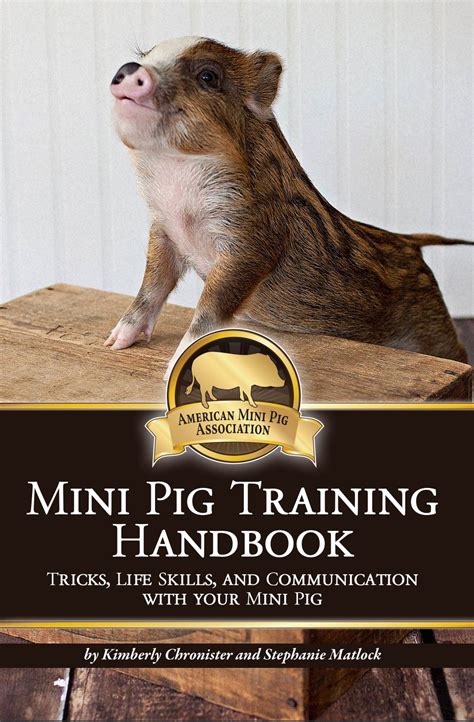 Mini Pig Training Handbook | American Mini Pig Online Store