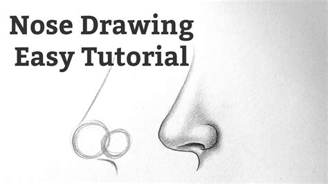 Step By Step Drawing Noses