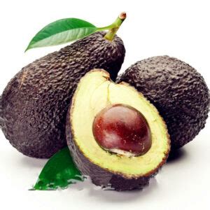 Organic Avocado Seeds Pack 10 Count - BestSeedsOnline.com - Free Shipping Worldwide