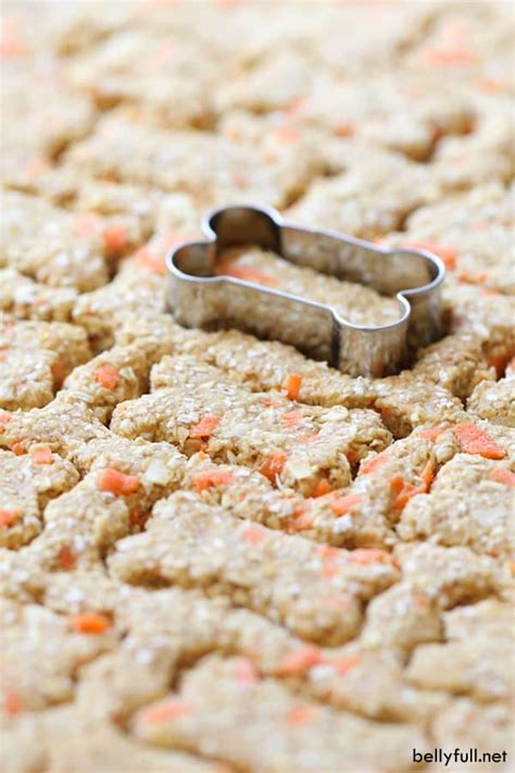 Easy Dog Biscuit Recipes With Baby Food | Dandk Organizer