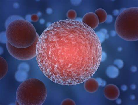 Beta-cell Function Treatment: Is There Ongoing Effect After Withdrawal?