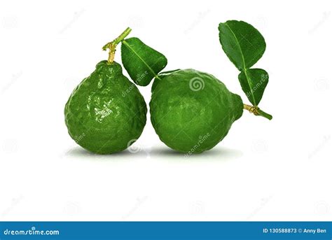 Bergamot Fruit, Kaffir Lime Isolated On White Stock Image - Image of freshness, green: 130588873