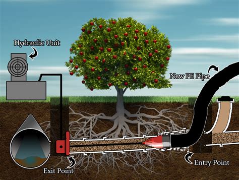 29+ Collapsed Sewer Pipe Repair - WendieIkhlas