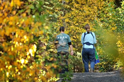 Alaska Massey: Fall Hike