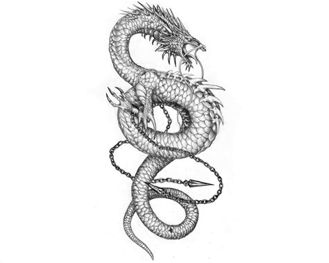 Water Dragon Drawing at GetDrawings | Free download