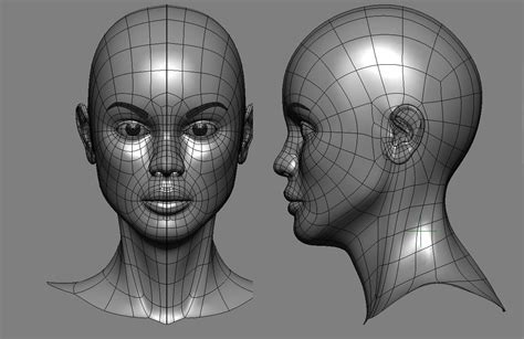 Face topology, Face blender, Face drawing