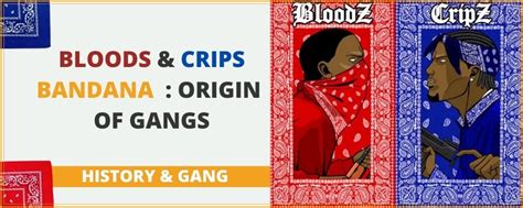 Bloods & Crips Bandana : origin of gangs – RoyalBandana™