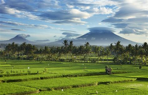 Pemandangan Sawah Bali Youtube - Riset