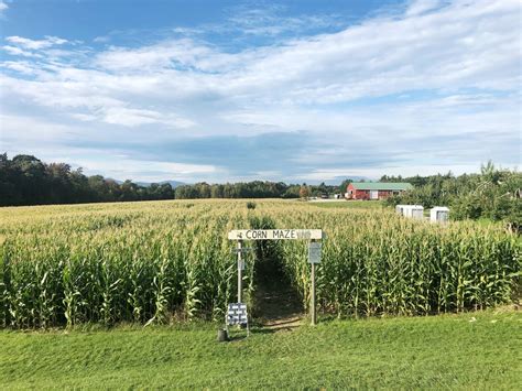 corn maze near me open now - Cliff Brice