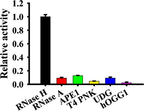 Influence of other enzymes on the specificity of the RNase H assay.... | Download Scientific Diagram